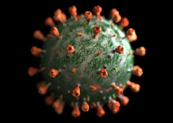 Coronavirus, la Circolare del Ministero della Salute