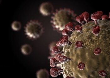 Coronavirus, nessun allarme in Campania e in Italia