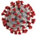 Nessun allarme in Italia per il virus cinese coronavirus