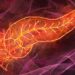 Pancreas artificiale per il diabete di tipo 2, studio del Cnr