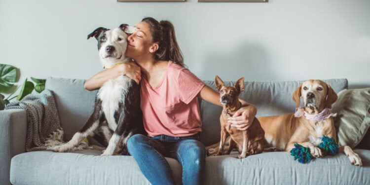 Gli animali domestici non trasmettono il covid-19: lo dichiara l’Ordine dei Veterinari