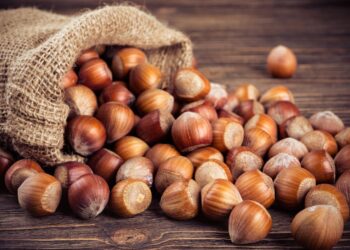La buona notizia del lunedì: allergia alla nocciola, scoperta una nuova causa