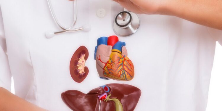 Al Policlinico di Palermo il tavolo per la sensibilizzazione sulla donazione di organi