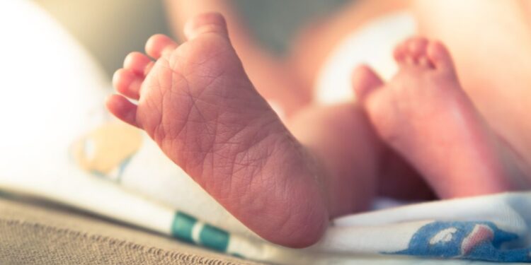 Sassari, in crescita le nascite nel 2022 all’AOU sarda