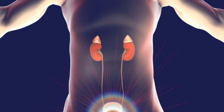Il tumore alla prostata diffuso al 19,8%