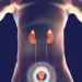 Il tumore alla prostata diffuso al 19,8%