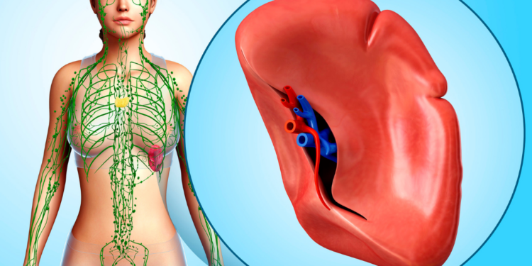 Resezione parziale della milza con patologia rara: al San Gerardo uno dei pochi casi eseguiti al mondo