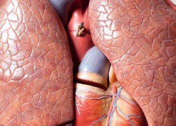 Trapianto domino: Riceve un cuore e due polmoni ed a sua volta dona il suo cuore da vivente ad una seconda ricevente