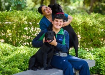 Cuccioli di labrador impiegati nelle terapie per lo spettro autistico a Villa Dei Fiori