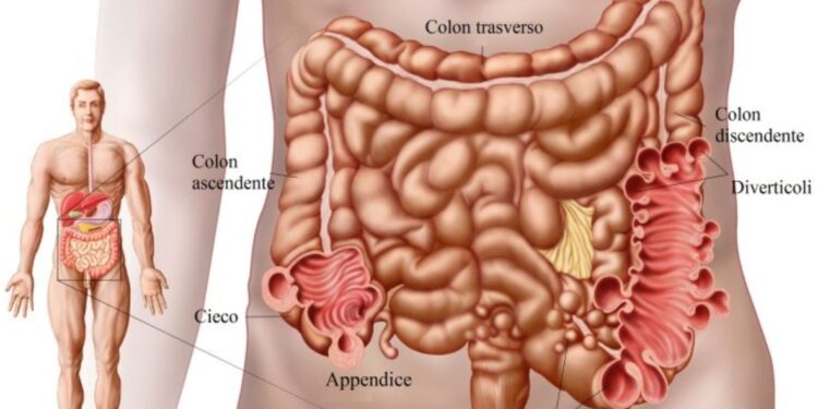 Patologie del colon, due milioni per endoscopia digestiva