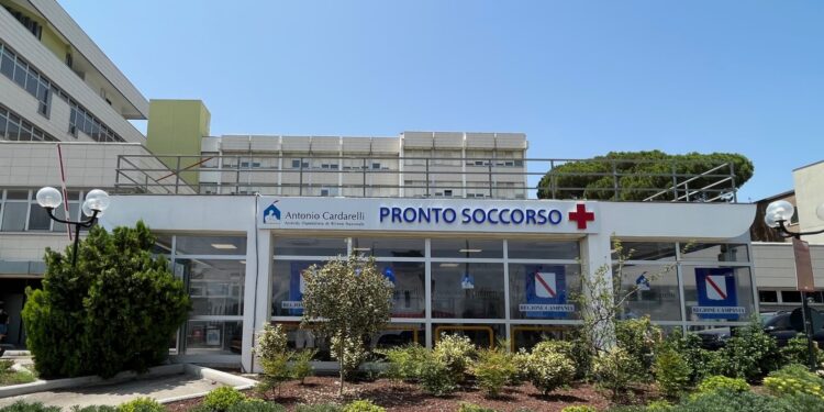 Ospedale Cardarelli, percorso rosa: 1334 violenze di genere registrate in otto anni