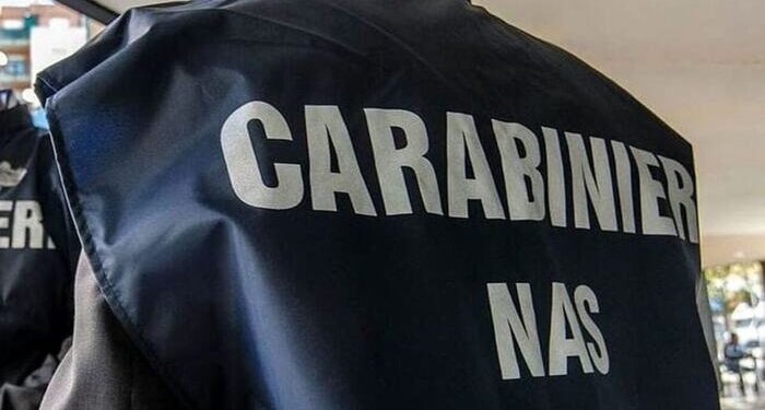 Campania: controlli in strutture per anziani, irregolarità in 4 casi