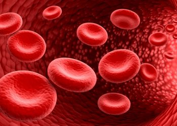 Talassemia, meno trasfusioni con le nuove cure.            Ma per i pazienti il cambiamento è fonte di timori e di paure