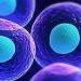 Utilizzo delle cellule stromali mesenchimali: nuovo approccio terapeutico nelle sindromi acute da distress respiratorio e fibrosi polmonare post infiammatori              I risultati dello studio pubblicati da Respiratory Research