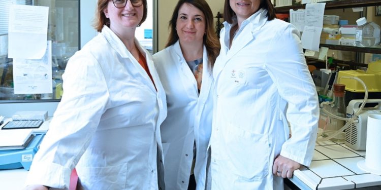 FIBROSI CISTICA : dal Regno Unito 2 milioni di sterline per 2 progetti di studio in tutto il mondo, finanziata ricerca dell’IRCCS G. Gaslini di Genova per individuare nuove terapie in gradi di correggere le “mutazioni nonsenso” ancora orfane di cura