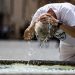 PROTEZIONE CIVILE CAMPANIA: DA DOMANI CRITICITA’ PER ONDATA DI CALORE