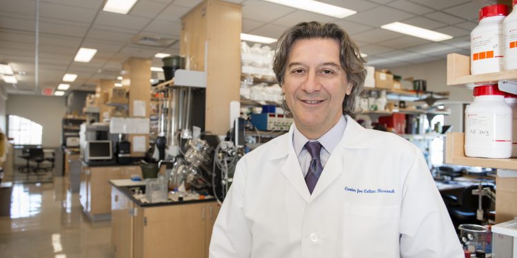 Malattie reumatiche, un sistema predittivo per la diagnosi:le novità del progetto “Endotarget” con la Fondazione Ebris