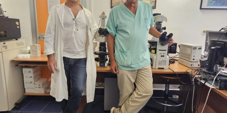 Emergenza Vaiolo delle scimmie e COVID-19, uno studio del Policlinico di Palermo pubblicato su “International Reviews of Immunology” fa luce su nuovi aspetti immunologici