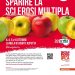 Facciamo Sparire la Sclerosi Multipla
