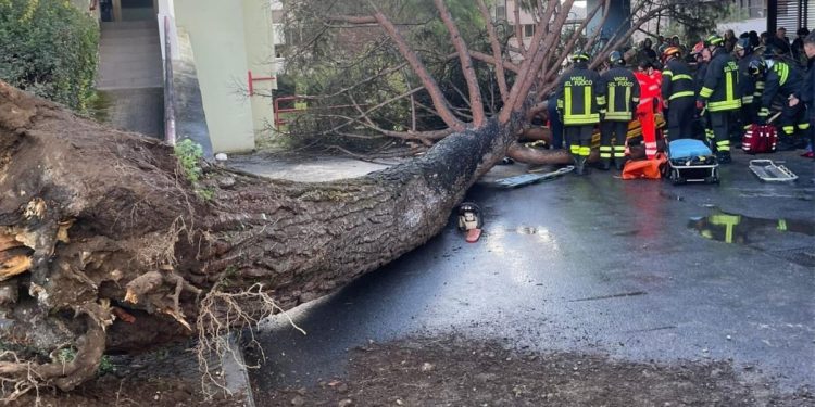 Cade un albero nella sede dell’ universita’ di Salerno. Gravi tre persone, due sono giovani . Uno in condizioni disperate