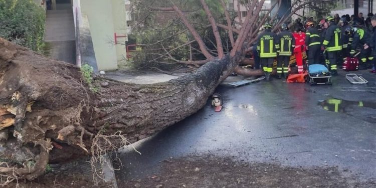 Albero crollato all’ Università di Salerno. Resta grave uno dei tre ragazzi rimasti feriti. La nota dell’ ateneo di Salerno.