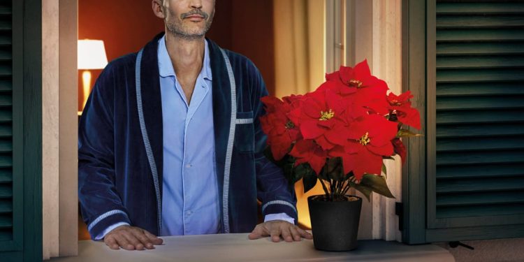 STELLE DI NATALE AIL6 – 7 – 8 dicembre