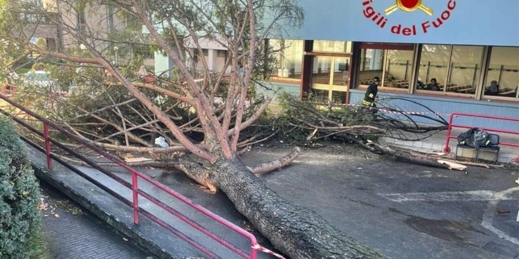 Albero caduto all’ università di Salerno. Si risveglia dal coma uno dei giovani rimasti feriti