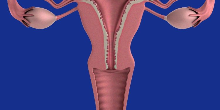 Cancro ovarico:un nuovo alleato diagnostico grazie all’IA