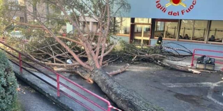 LA FAMIGLIA DI CARMINE FIORILLO, VITTIMA DELL’INCIDENTE AL CAMPUS DI FISCIANO, RINGRAZIA I MEDICI DELL’OSPEDALE RUGGI DI SALERNO
