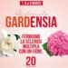 Gardensia torna a marzo, in occasione della Giornata Internazionale della Donna. In 5000 piazze italiane migliaia i volontari.