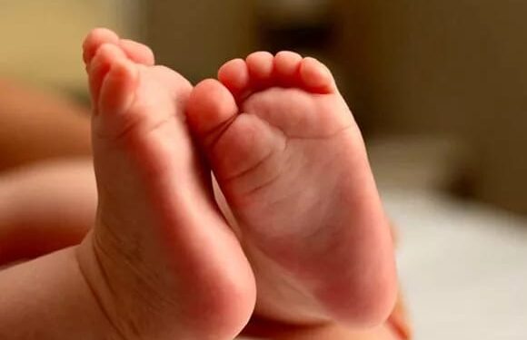 Tumore ostruiva vie aeree e digerenti, bimba di un anno salvata al Santobono. Delicato intervento congiunto con la Chirurgia Maxillo facciale del Policlinico di Bari