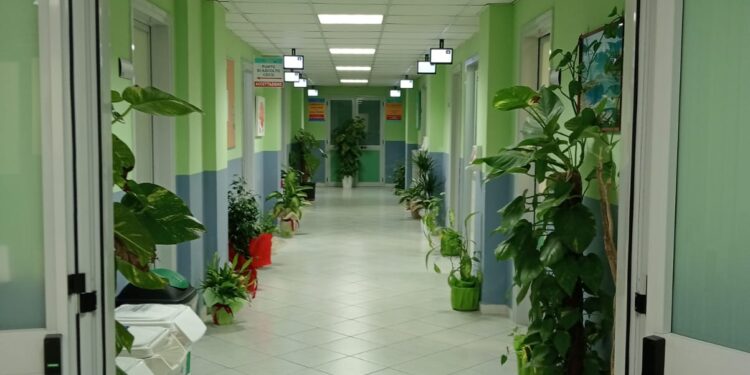 Alzheimer,Demenze e disturbi della Memoria, al via a Nocera Inferiore il primo corso per Caregiver