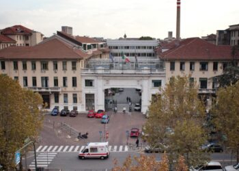 La Città della Salute e della Scienza di Torino prima in Italia per numero e complessità di trapianti renali 