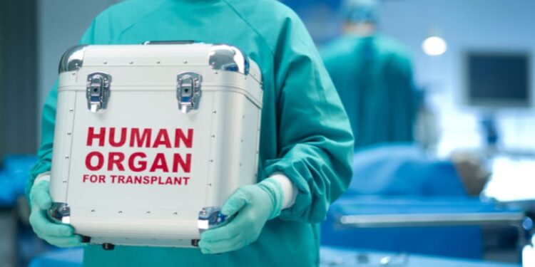 Vite salvate grazie alla generosità di 2 famiglie che hanno acconsentito alla donazione di organi dei propri congiunti.