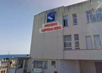 La FP CGIL Salerno al fianco delle famiglie del Golfo di Policastro: no alla chiusura del Punto Nascite di Sapri