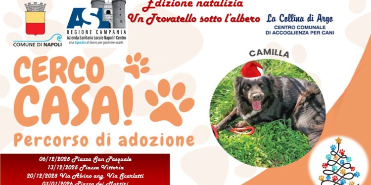 COMUNE DI SALERNO, IL 4 E 5 DICEMBRE L’EVENTO “I’M NOT DISABLED” LA PRESENTAZIONE A PALAZZO DI CITTA’ GIOVEDI’ ALLE ORE 11