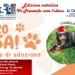 COMUNE DI SALERNO, IL 4 E 5 DICEMBRE L’EVENTO “I’M NOT DISABLED” LA PRESENTAZIONE A PALAZZO DI CITTA’ GIOVEDI’ ALLE ORE 11