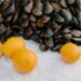 La Regione Campania intensifica i controlli sulla filiera dei molluschi bivalvi e rafforza le misure di prevenzione contro l’epatite A
