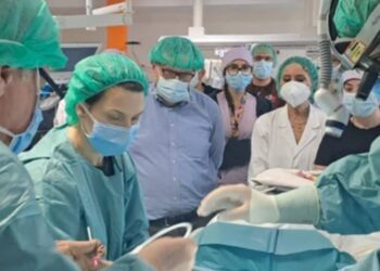 𝗨𝗻 𝗯𝗮𝘁𝘁𝗲𝗿𝗶𝗼 𝗹𝗲 𝗱𝗮𝗻𝗻𝗲𝗴𝗴𝗶𝗮 𝗴𝗿𝗮𝘃𝗲𝗺𝗲𝗻𝘁𝗲 𝗶𝗹 𝗽𝗼𝗹𝗺𝗼𝗻𝗲: 𝗶𝗻𝘁𝗲𝗿𝘃𝗲𝗻𝘁𝗼 𝘀𝗮𝗹𝘃𝗮𝘃𝗶𝘁𝗮 𝘀𝘂 𝘂𝗻𝗮 𝗯𝗶𝗺𝗯𝗮𝗚𝗿𝗮𝘇𝗶𝗲 𝗮𝗹𝗹𝗮 𝘀𝗶𝗻𝗲𝗿𝗴𝗶𝗮 𝘁𝗿𝗮 𝗣𝗼𝗹𝗶𝗰𝗹𝗶𝗻𝗶𝗰𝗼 𝗱𝗶 𝗠𝗲𝘀𝘀𝗶𝗻𝗮 𝗲 𝗖𝗖𝗣𝗠 𝗱𝗶 𝗧𝗮𝗼𝗿𝗺𝗶𝗻𝗮