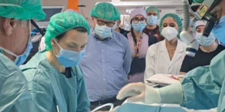 𝗨𝗻 𝗯𝗮𝘁𝘁𝗲𝗿𝗶𝗼 𝗹𝗲 𝗱𝗮𝗻𝗻𝗲𝗴𝗴𝗶𝗮 𝗴𝗿𝗮𝘃𝗲𝗺𝗲𝗻𝘁𝗲 𝗶𝗹 𝗽𝗼𝗹𝗺𝗼𝗻𝗲: 𝗶𝗻𝘁𝗲𝗿𝘃𝗲𝗻𝘁𝗼 𝘀𝗮𝗹𝘃𝗮𝘃𝗶𝘁𝗮 𝘀𝘂 𝘂𝗻𝗮 𝗯𝗶𝗺𝗯𝗮𝗚𝗿𝗮𝘇𝗶𝗲 𝗮𝗹𝗹𝗮 𝘀𝗶𝗻𝗲𝗿𝗴𝗶𝗮 𝘁𝗿𝗮 𝗣𝗼𝗹𝗶𝗰𝗹𝗶𝗻𝗶𝗰𝗼 𝗱𝗶 𝗠𝗲𝘀𝘀𝗶𝗻𝗮 𝗲 𝗖𝗖𝗣𝗠 𝗱𝗶 𝗧𝗮𝗼𝗿𝗺𝗶𝗻𝗮