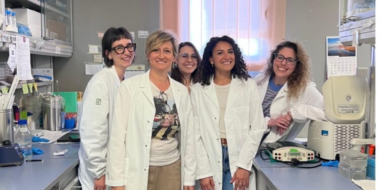 Interventi neurologici più sicuri. Nuova tecnologia all’ospedale di Nuoro dove e’ stato installato un neuronavigatore di ultima generazione