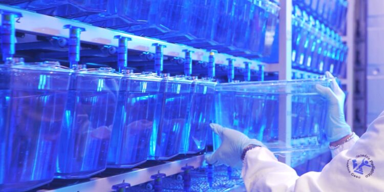 TUMORE AL SENO: DIAGNOSI PIU’ PRECISE E TERAPIE PIU’ MIRATE GRAZIE AI TEST GENETICI