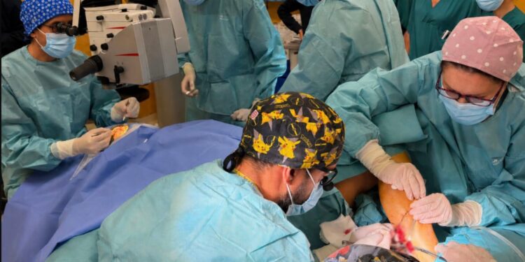 Neurotizzazione e trapianto di cornea, al Policlinico Duilio Casula di Cagliari primo intervento in Sardegna