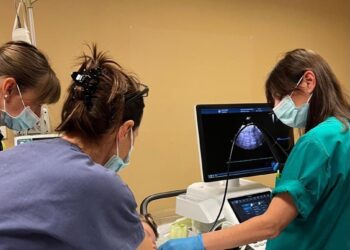 Cardiologia pediatrica: al San Gerardo la sonda ecocardiografica per neonati e bambini.