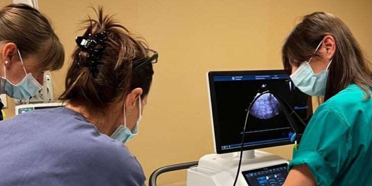 Cardiologia pediatrica: al San Gerardo la sonda ecocardiografica per neonati e bambini.
