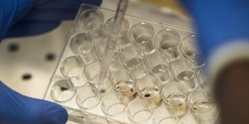 Superare la resistenza alla chemioterapia nei tumori dell’ovaio