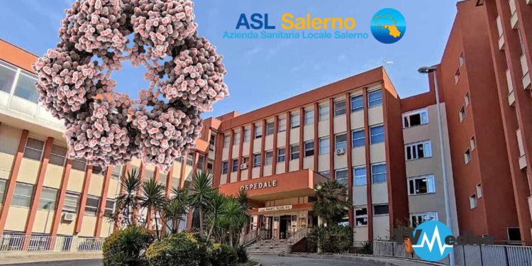 Un insolito caso di “Toscana Virus” diagnosticato tempestivamente e trattato presso la UOC di Malattie Infettive del presidio ospedaliero di Scafati