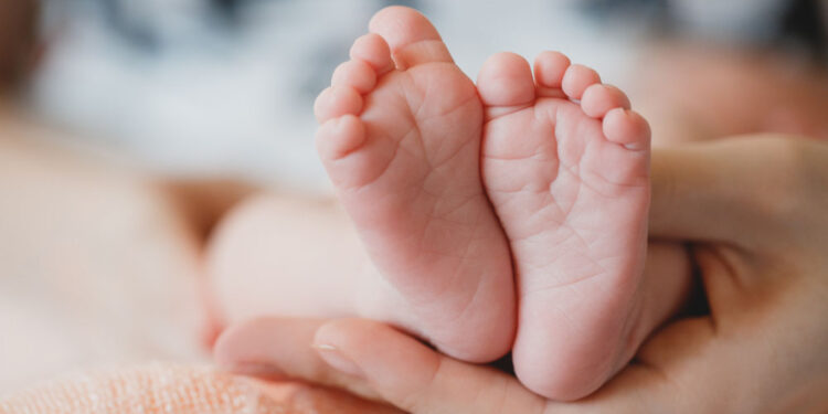 precoce: progetto pilota del Ceinge