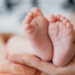 precoce: progetto pilota del Ceinge