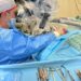 Nuovo trapianto di cuore salva un giovane paziente al Monaldi di Napoli.Subito operativo il nuovo reparto